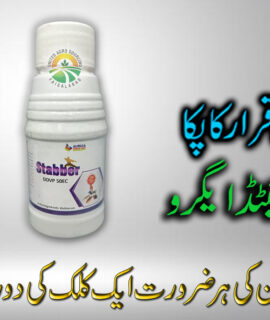 Stabber 250ML (657)
