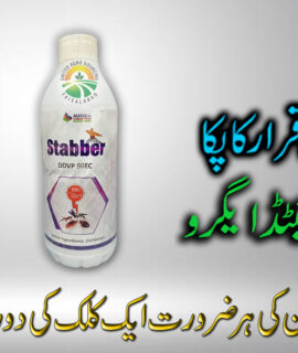 Stabber 1000ML (658)