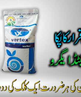 Vertex High Performance Seeds Blue Pak Fogi