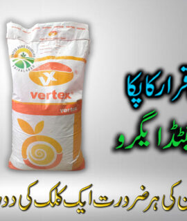 Vertex High Performance Seeds Sahiwal Gold