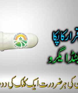 Bottle 16 Liter (686)