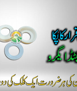 Boki Decent (3 Liter) (719)