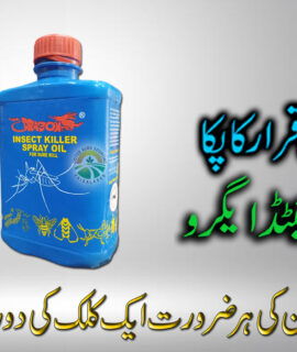 Dragon Insect killer spray oil (704)