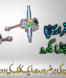 Crank 2 Stroke (750)