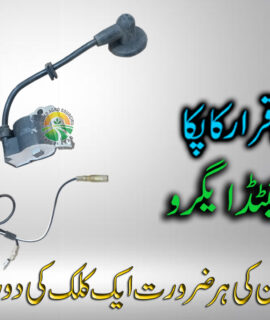 Quail 2 Stroke (762)