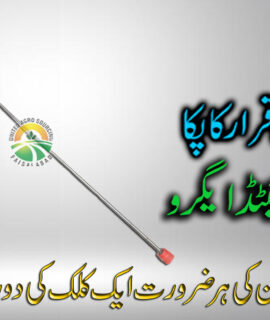 Pressure Gun 5 Feet (725)