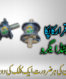 Foundation Small (741)