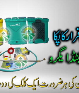 Green Land Electric Sprayer (695)