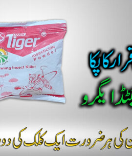 Tiger Powder 50 Gram (742)