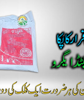 Tiger Attack Powder 100 Gram (743)