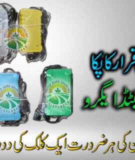 Green Land Charger (698)