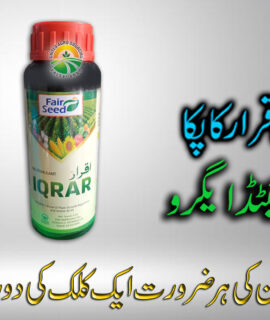 Iqrar Bio Stimulant (746)