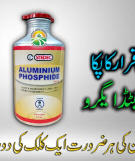 Aluminum Phosphide (771)