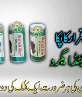 Best Rat Killer (766)