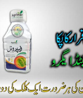 Faporinal (480ml) (797)