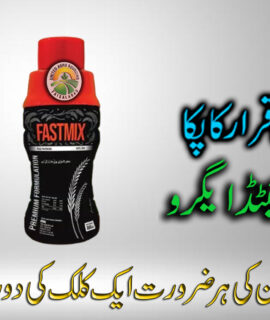 Fastmix (800ml) (798)