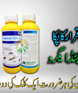 Fedona 10 % 1 Liter (699)