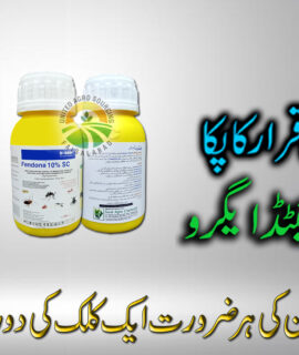 Fendona 10 % 200 Ml (700)