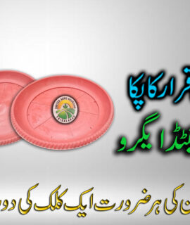 Gamla Plate Big (792)