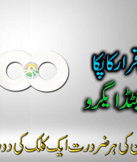 Namda 16 Liter Sprayer (701)