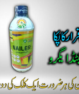 Nailer (1000Ml) (767)