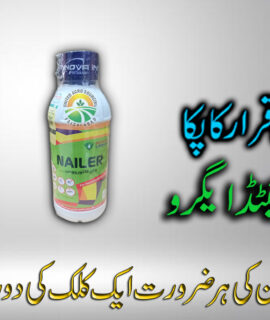 Nailer (500Ml) (768)