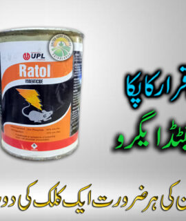 Ratol Teen (500G) (784)