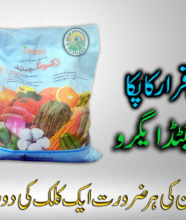 Zakoota Chelated (4 Kg) (802)