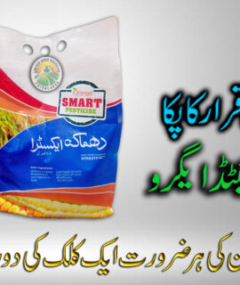 Dhamaka Extra (4kg) (803)