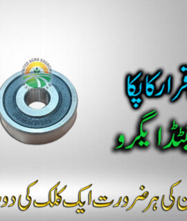 Bearing (6002) (727)