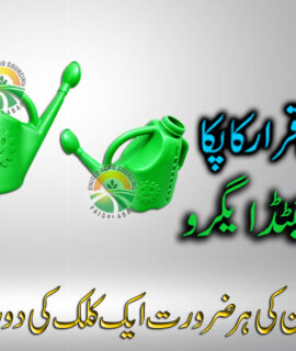 Water Dol (10 Liter) (728)