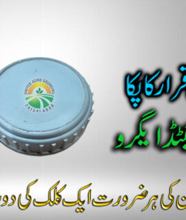 Small Cap 20 Liter (731)