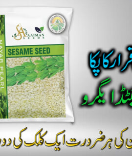 Aaiman Sesame Seeds (818)
