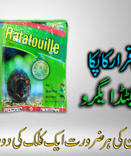 Ratatouille (811)