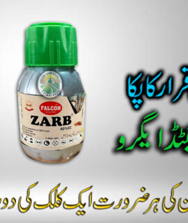 Zarb (250 Ml) (816)