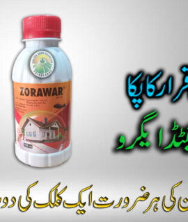 Zorawar (100 Ml) (817)