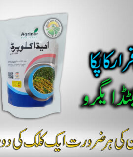 imidacloprid (100g) (807)