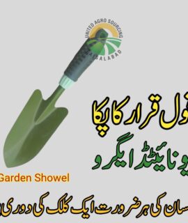 Garden Shovel (841)