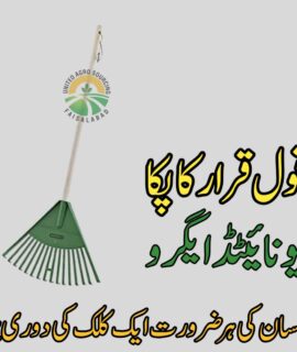 Garden Sweep (838)