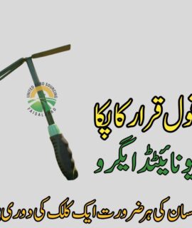 2 in 1 Garden Tool (835)
