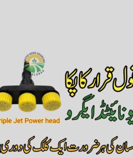 Triple-jet Power Head (834)
