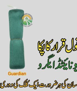 Guardian (833)