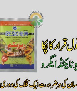 Resichem (885)