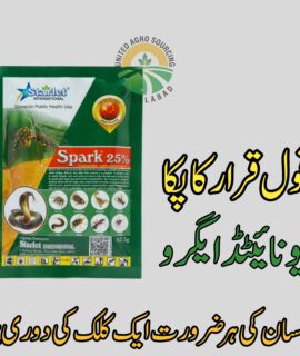 Spark 25 % (886)