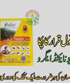 Spark 15%(883)