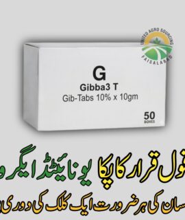 Gibba 3 T (895)