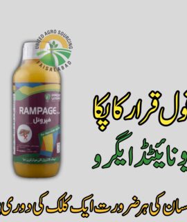 Rampage (898)