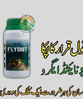 Flyout (901)
