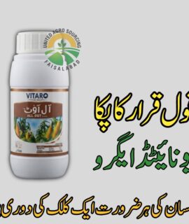Vitarq All Out (332)