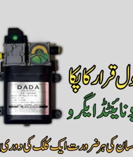 Double Motor Pump (435)
